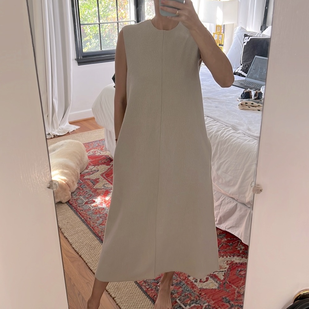 Zara dress